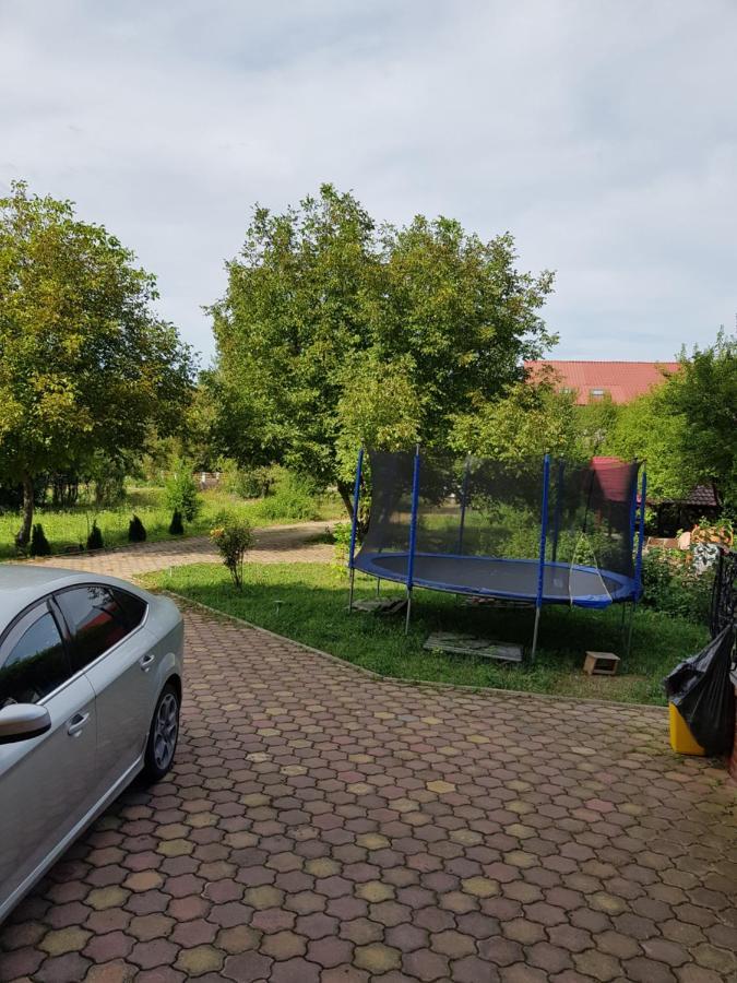 Pensiunea Ruxandra Baile 1 Mai Esterno foto